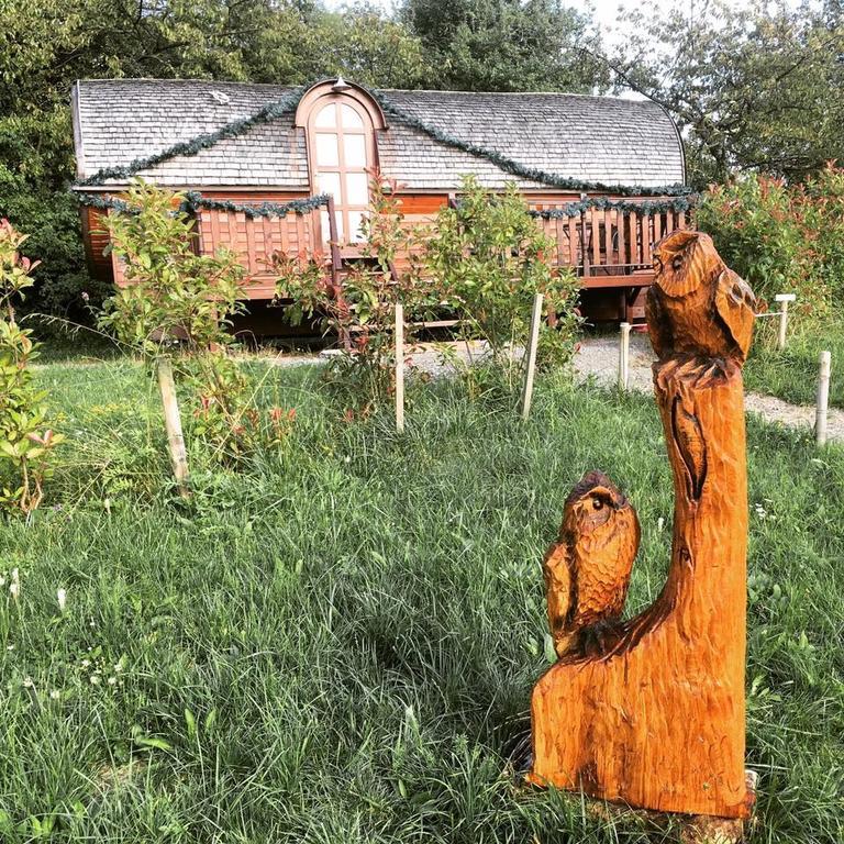 Le Chalet Du Chemin Et Sa Roulotte Berviller-en-Moselle Екстер'єр фото