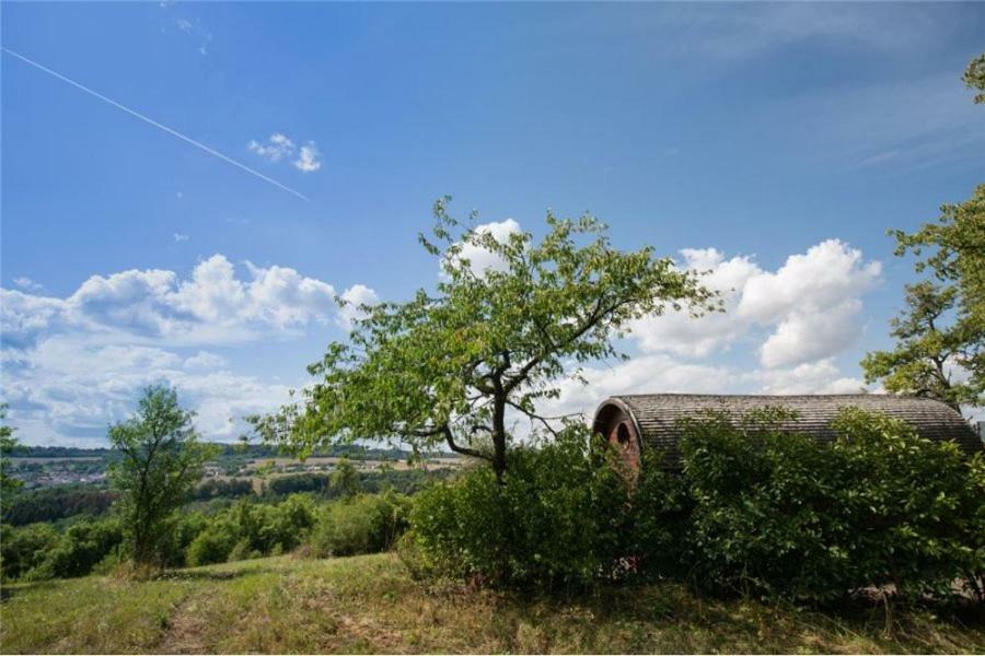 Le Chalet Du Chemin Et Sa Roulotte Berviller-en-Moselle Екстер'єр фото